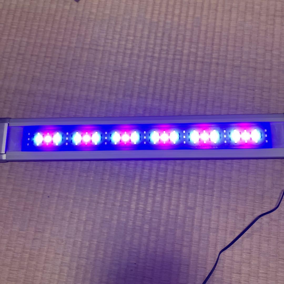 テトラパワーLEDプレミアム60
