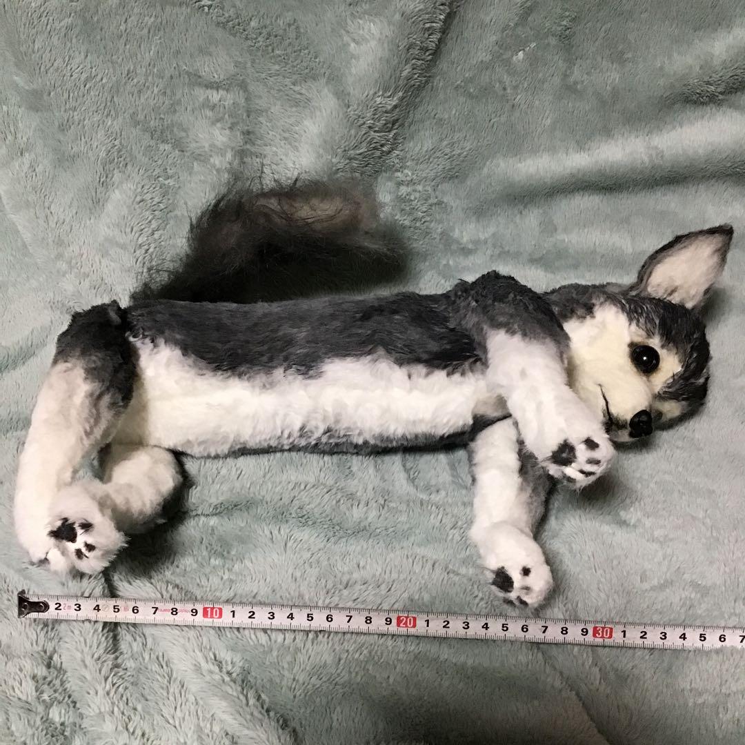 オーダーメイドわんこちゃんリアルぬいぐるみ　未使用　犬 オーダーメイドわんこちゃんリアルぬいぐるみ 未使用 犬 - メルカリ
