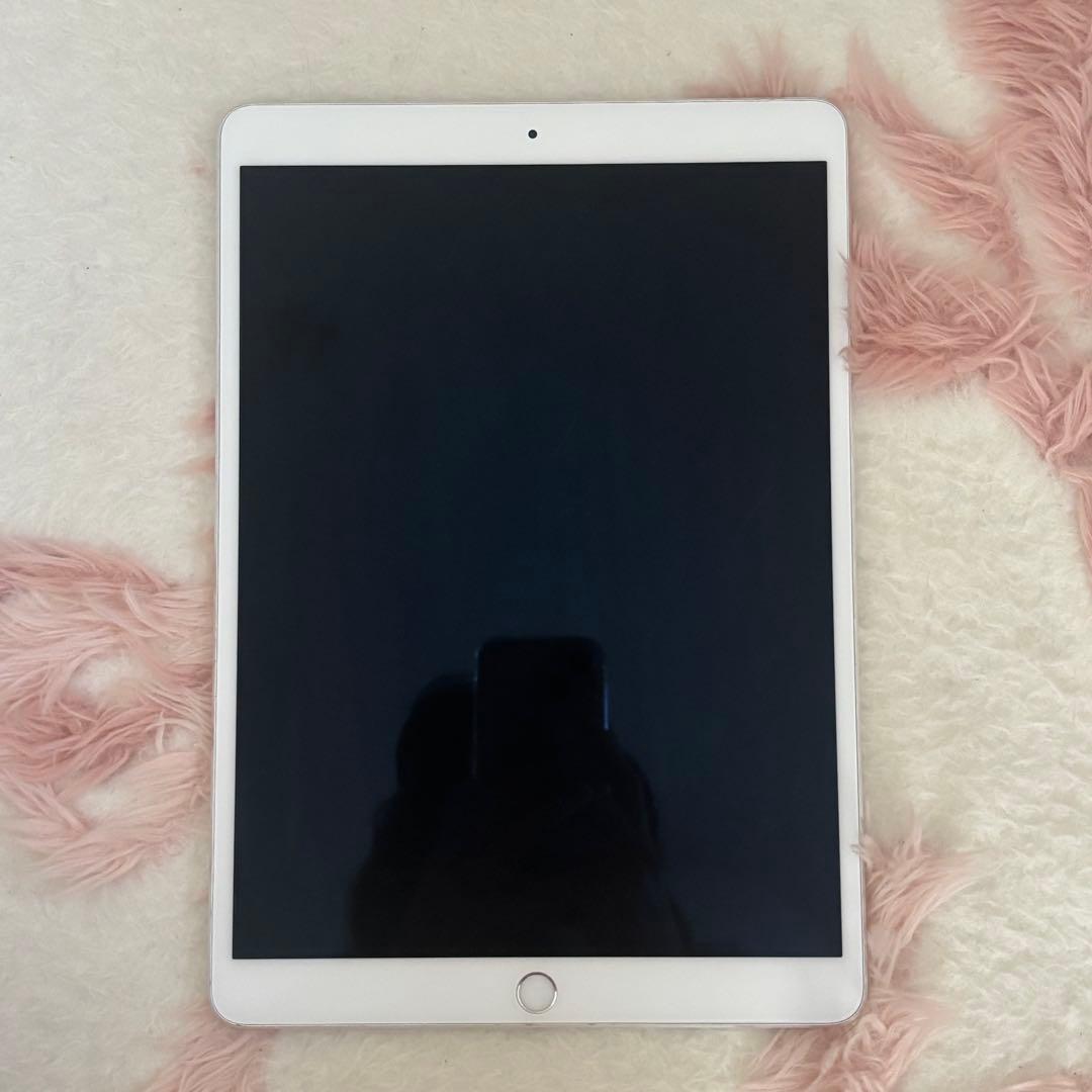 iPad Pro 10.5インチ (+ Apple Pencil 第1世代 )