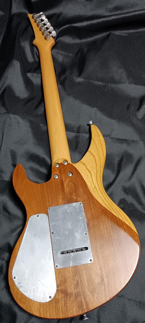 ギター Selva Ignight 545