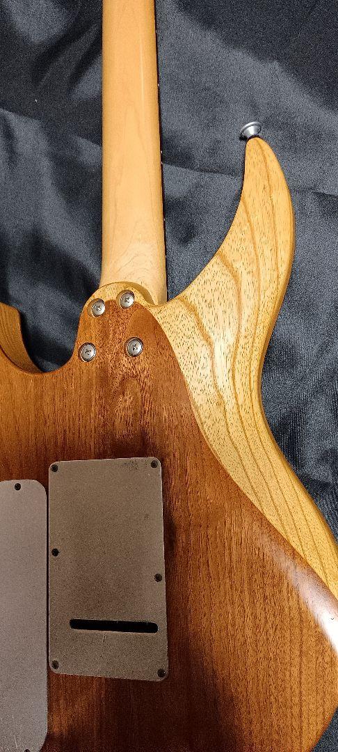 ギター Selva Ignight 545