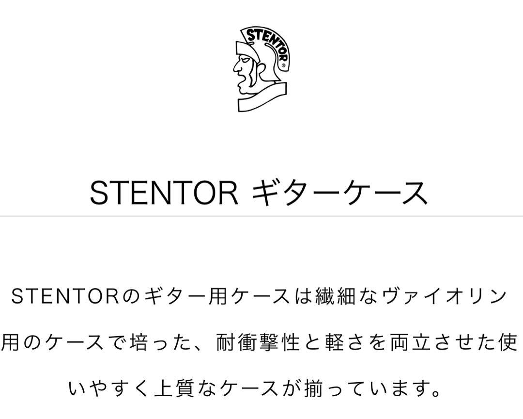 ギター STENTOR SEC-100