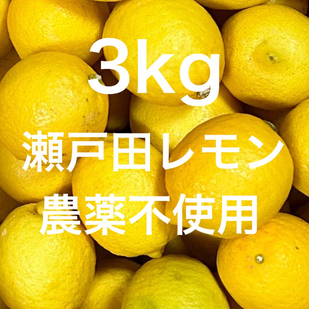 ネイバーフッド⭐︎国産レモン　農薬不使用 国産 瀬戸田レモン農薬不使用 o - メルカリ