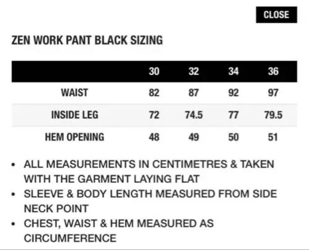 パンツ XL(36) PALACE ZEN WORK PANT