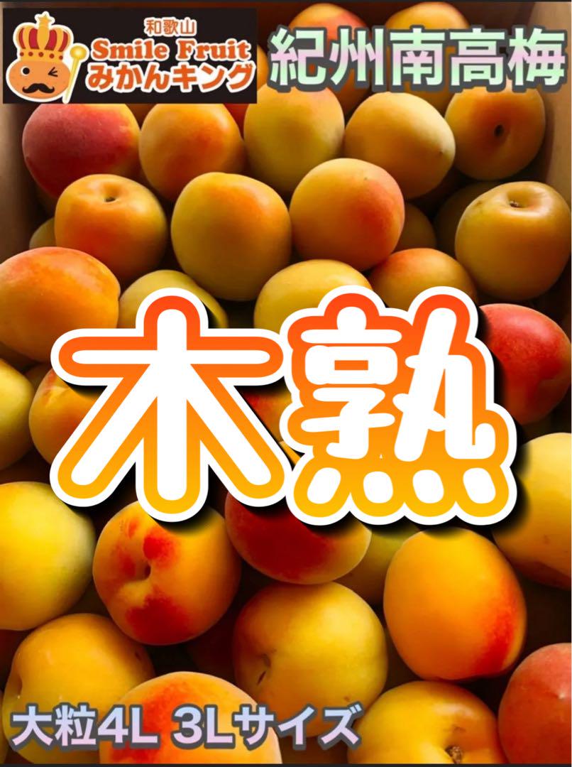 最終販売‼️数量限定‼️完熟南高梅　大玉4L 3Lサイズの間　5kg みかんキング