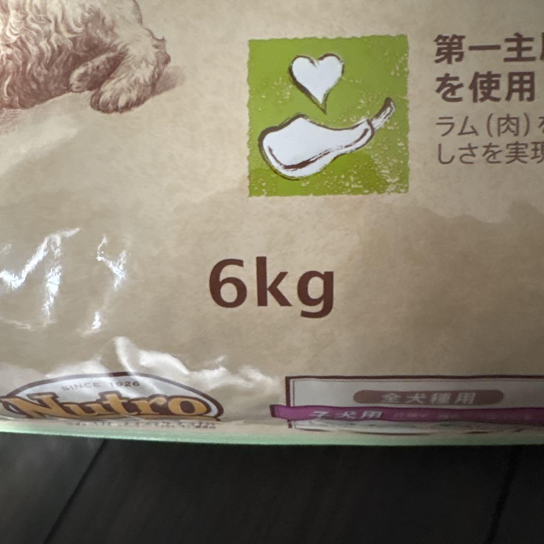 ニュートロ　ナチュラルチョイス　子犬用 ラム＆玄米 6kg 全犬種用