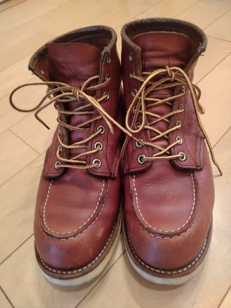 アイリッシュセッター