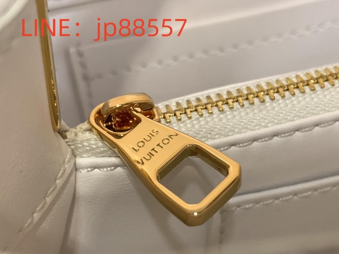 専用ルイヴィトンA3