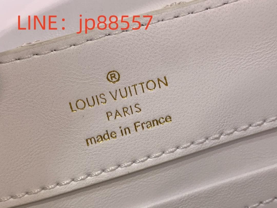 専用ルイヴィトンA3