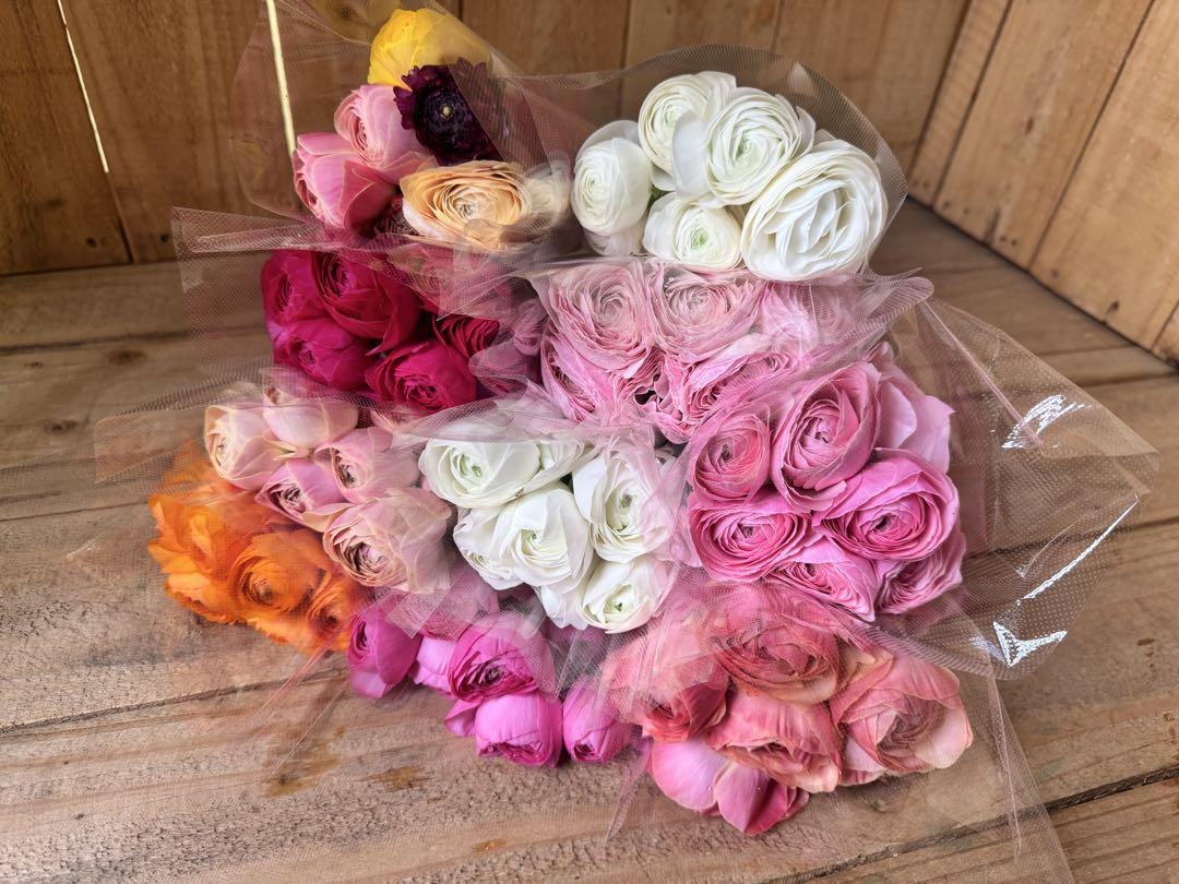 ✨大特価‼️100本【2】ラナンキュラス　ミックス　スワッグ　生花 花束　ドライ