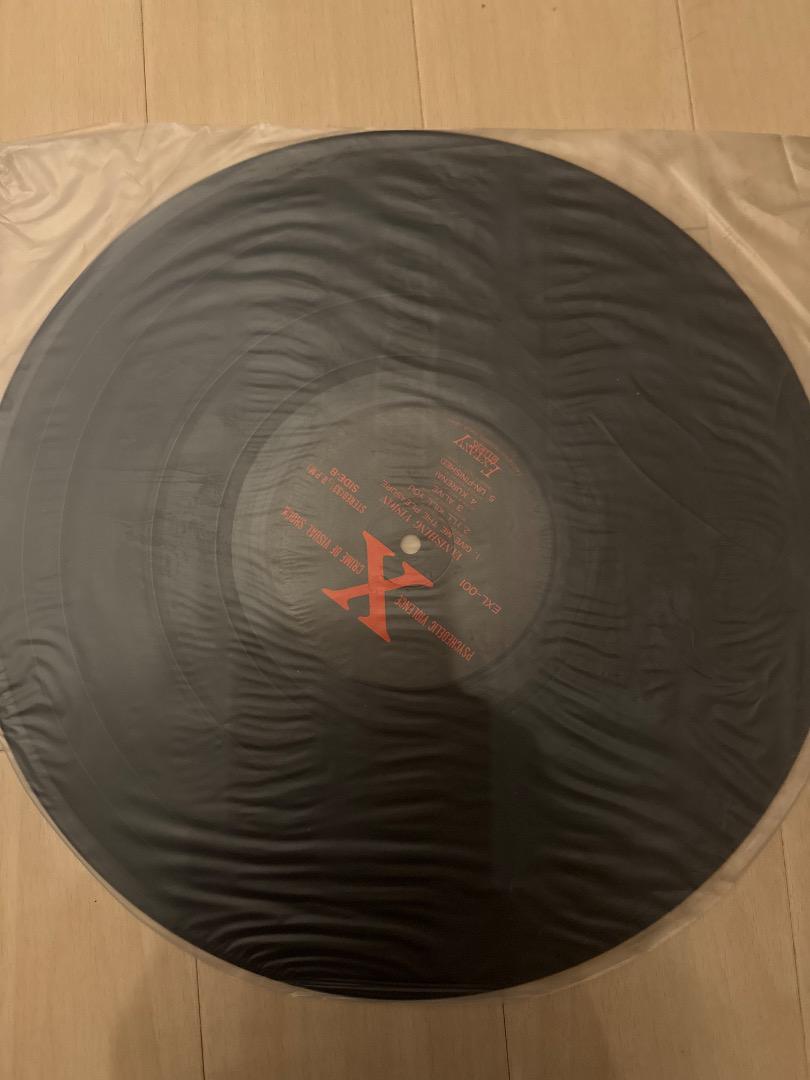 X JAPAN VANISHING VISION アナログレコード X LP