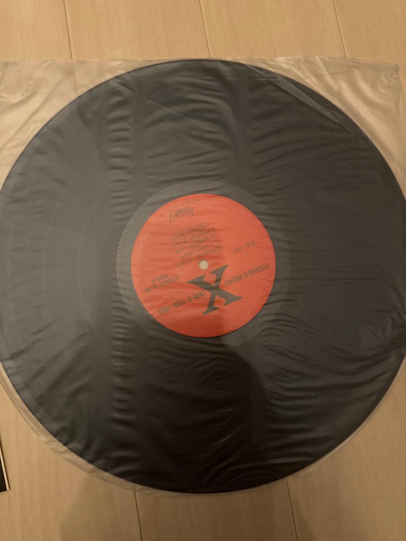 X JAPAN VANISHING VISION アナログレコード X LP