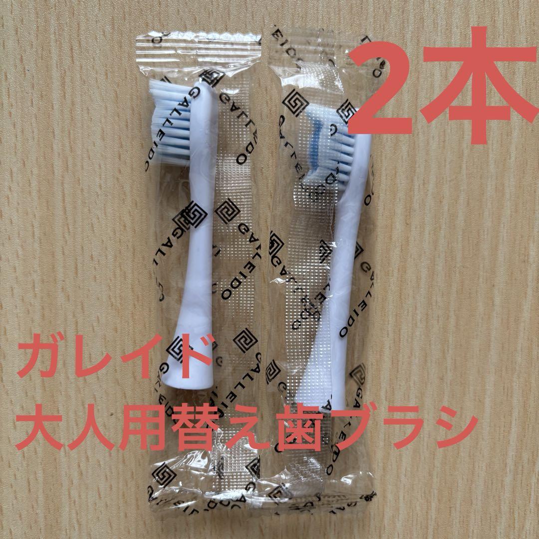 即日発送可】GALLEIDO ガレイド 電動歯ブラシ替えブラシ 大人用2本 