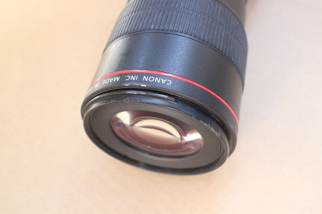 Canon EF 100mm f/2.8L Macro IS USM