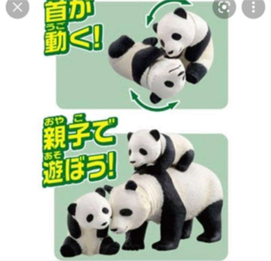 アニア パンダ シロクマ コアラ メルカリ アニア パンダ シロクマ コアラ メルカリ