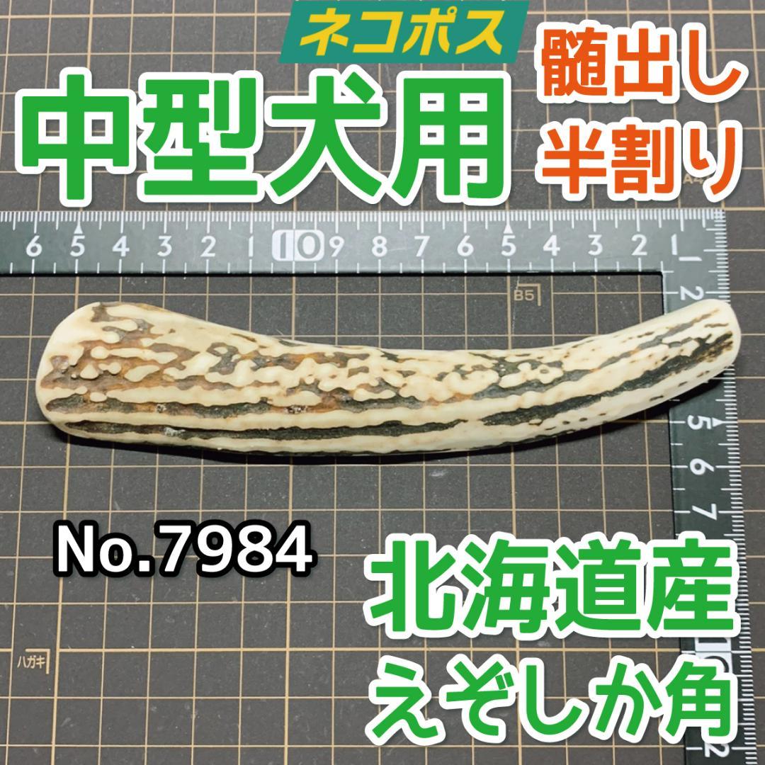 最先端 エゾ鹿の角 中型犬用 現物発送 半割り1本 7984 最先端 エゾ鹿の角 中型犬用 現物発送 半割り1本 7984