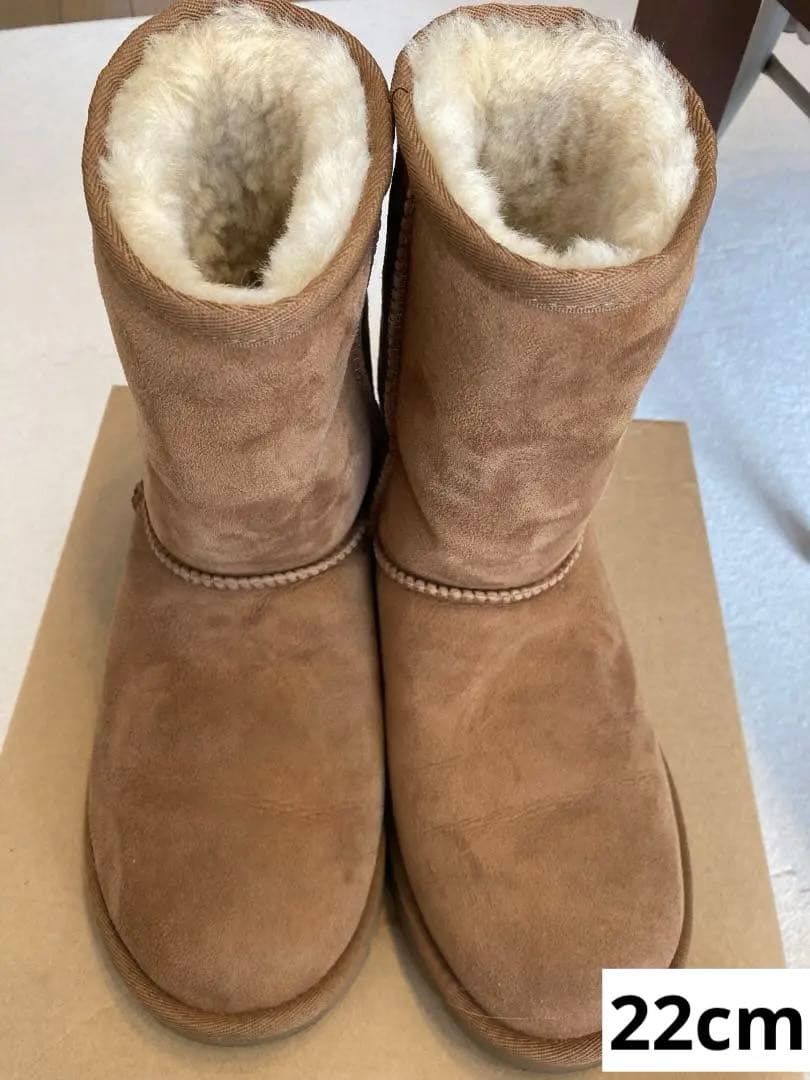 UGG W CLASSIC SHORT II ブラウン 5サイズ
