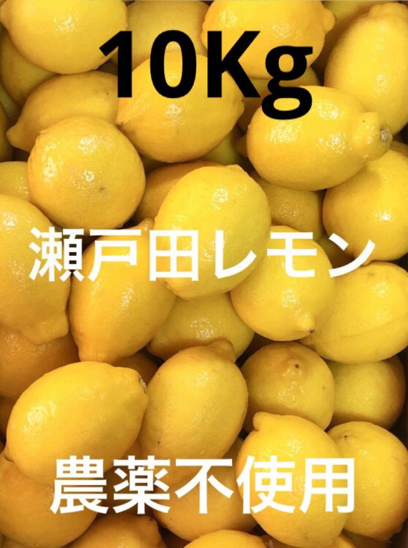 2国産瀬戸田レモン10kg 国産瀬戸田レモン10kg （全国送料無料の通販 国産レモン有数の