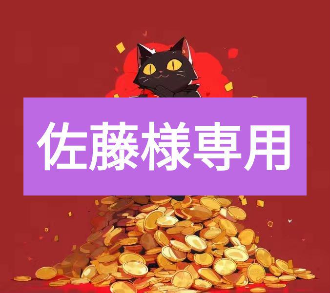 佐藤様専用