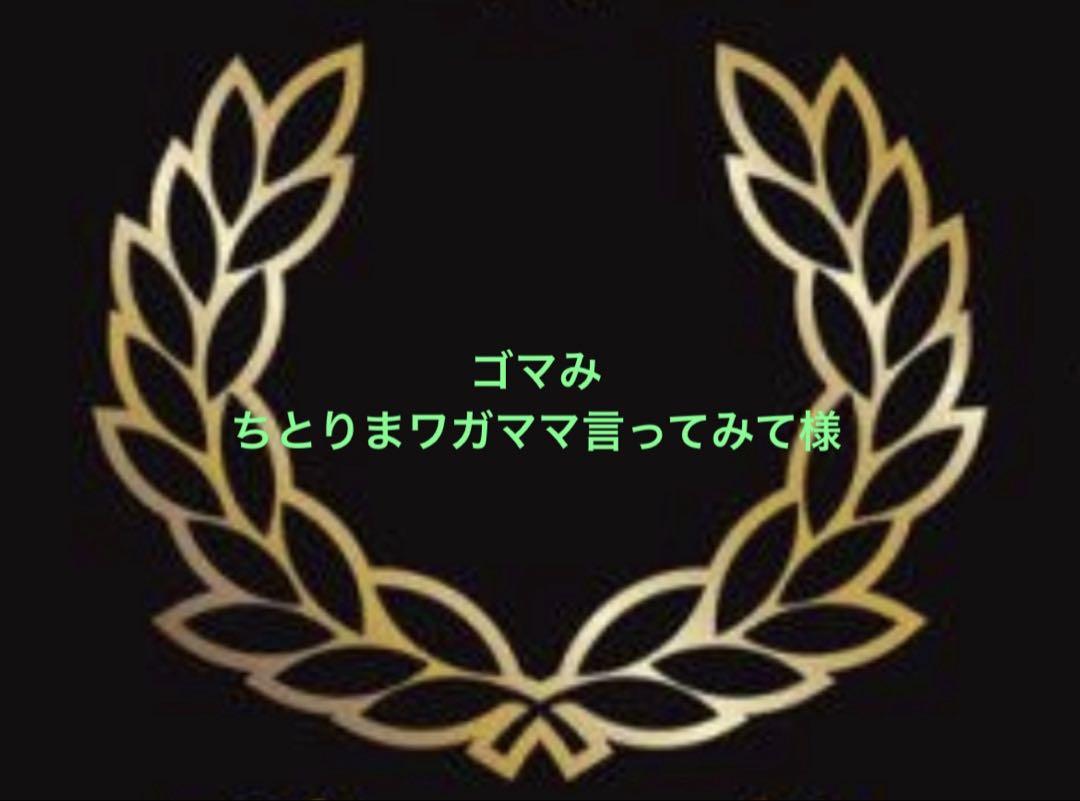 専用です。