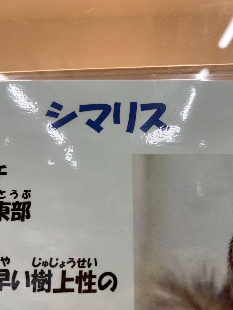 冷蔵庫