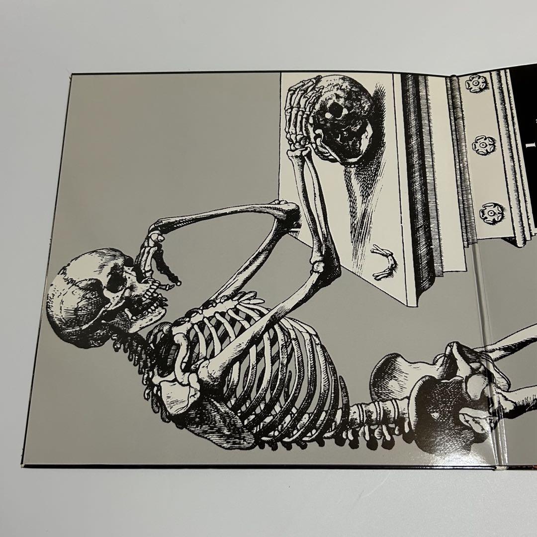 SKULL SNAPS アナログLPレコード 新品 通販CD・DVD・ブルーレイ - SKULL SNAPS スカルスナップス