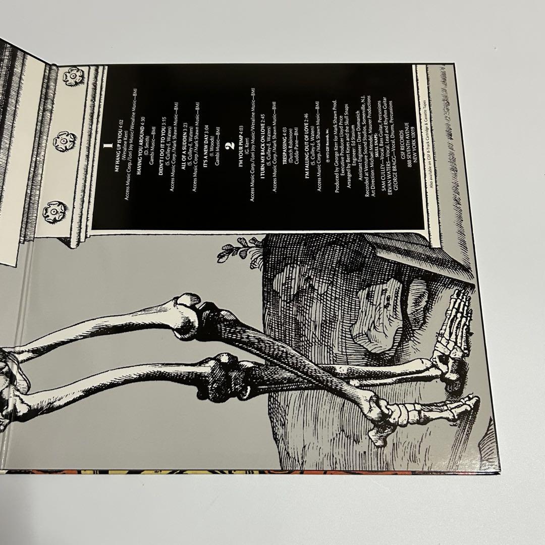 SKULL SNAPS アナログLPレコード 新品 通販CD・DVD・ブルーレイ - SKULL SNAPS スカルスナップス