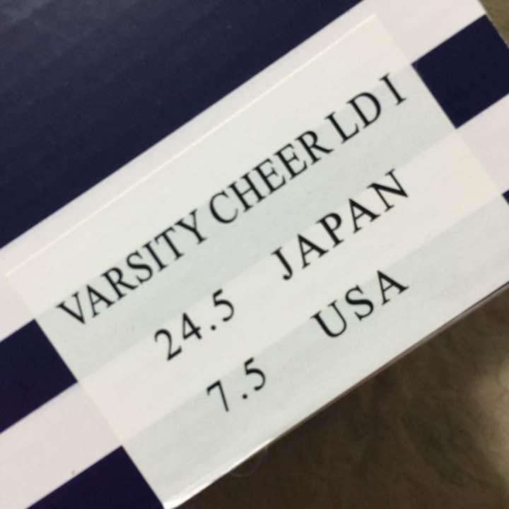 チアシュー