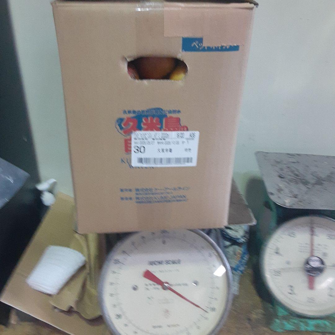 家庭用♪ミニマンゴー10㎏