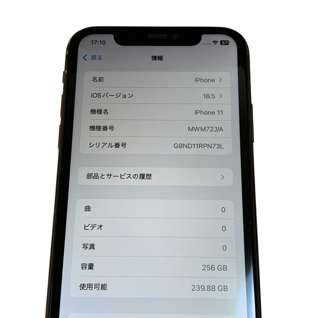 256GB
