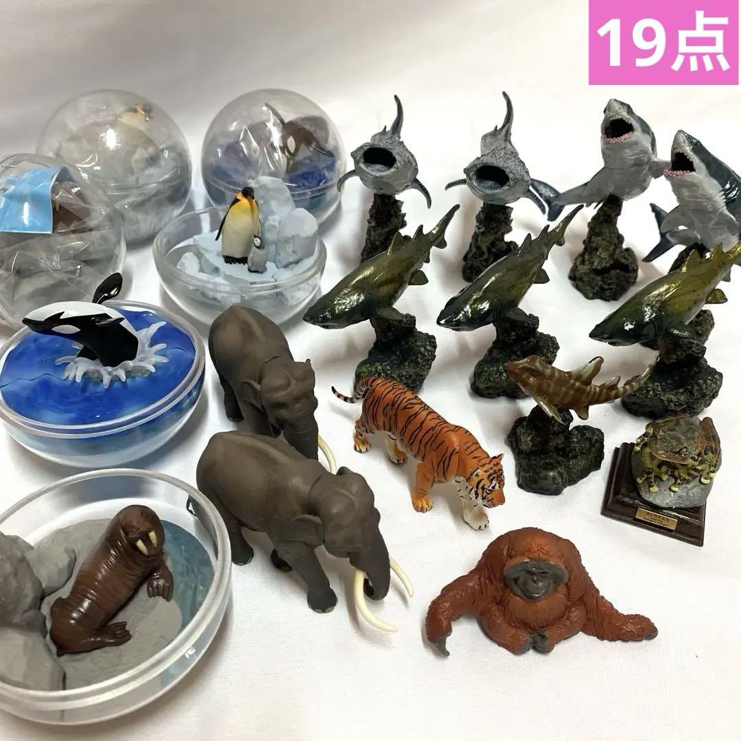 いきもの大図鑑 ミニコレクション/ワイルドラッシュ/カプリウムコレクション19点