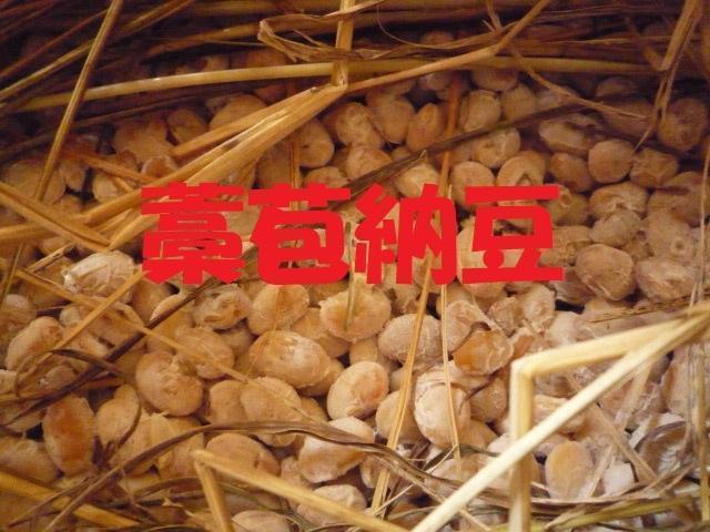 国産大豆 ８キロ 煮豆 味噌 納豆 豆乳 枝豆栽培 もやし作りまで利用可能