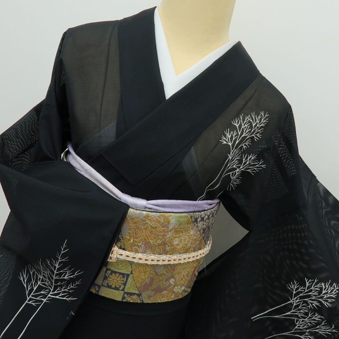 美品未着用 洗える夏着物 絽 訪問着 着物 A3132 - メルカリ