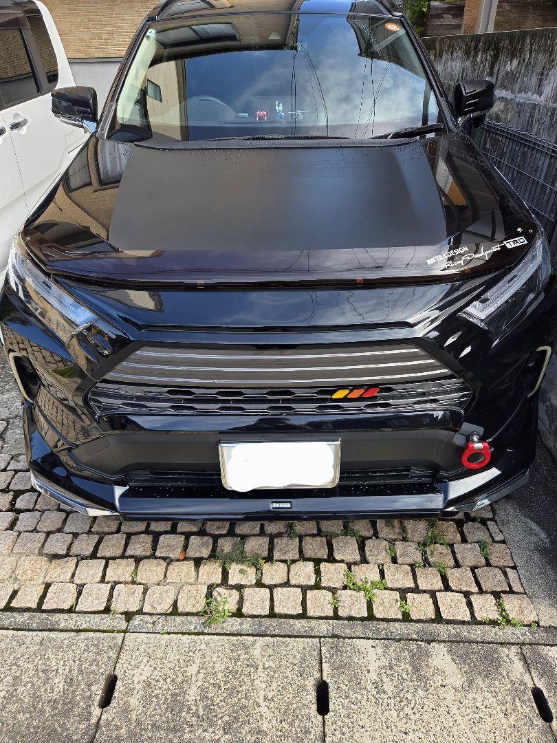 RAV4 EGRバグガード