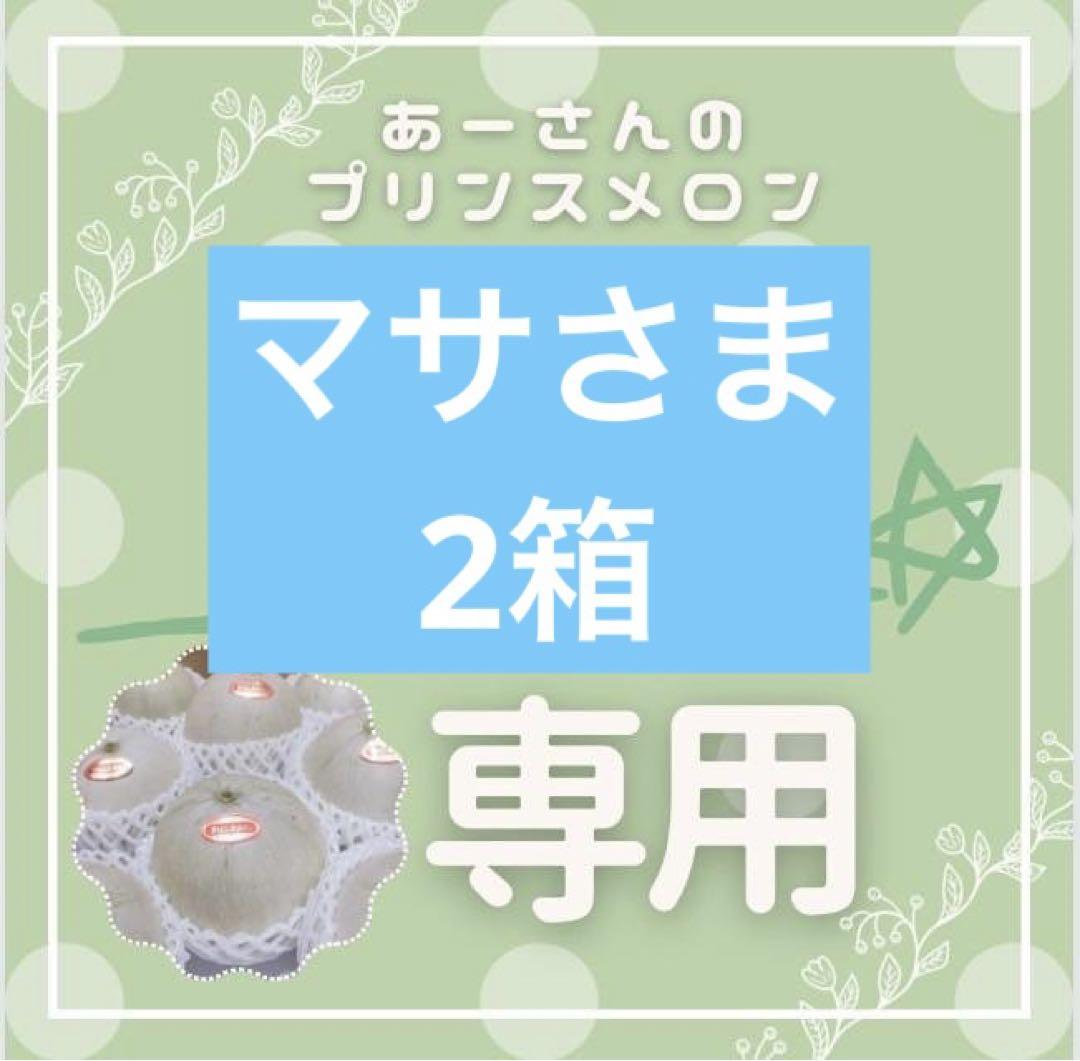 あーさんプリンスメロン9-10 2箱 サカタのタネ メロン種子 プリンスメロン【取り寄せ注文】※春