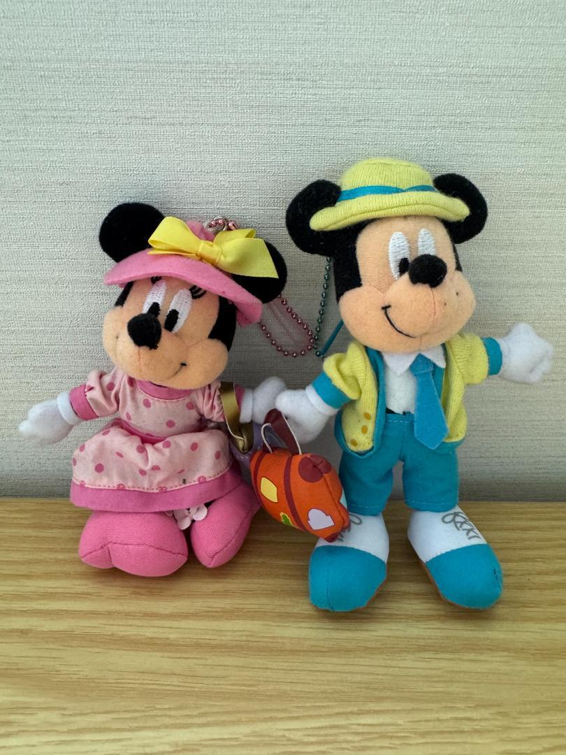 ディズニーバケーションパッケージ ミッキー ミニー ぬいぐるみ