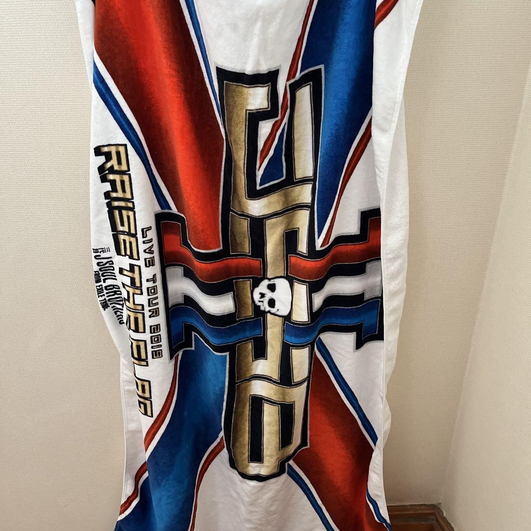 RAISE THE FLAG ライブツアーバスタオル - アイドルどこで 買える か