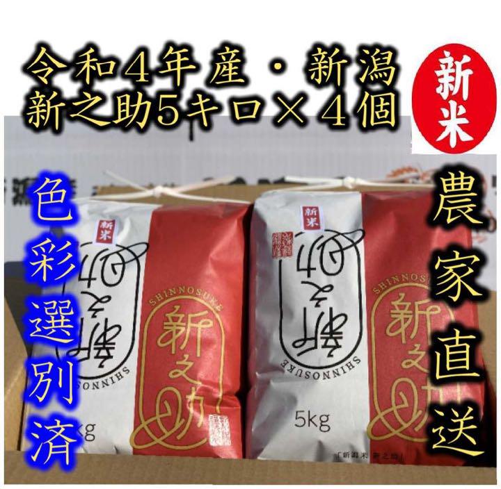 新米・令和4年産 新潟 新之助 白米5kg✖️4個★農家直送★色彩選別済20
