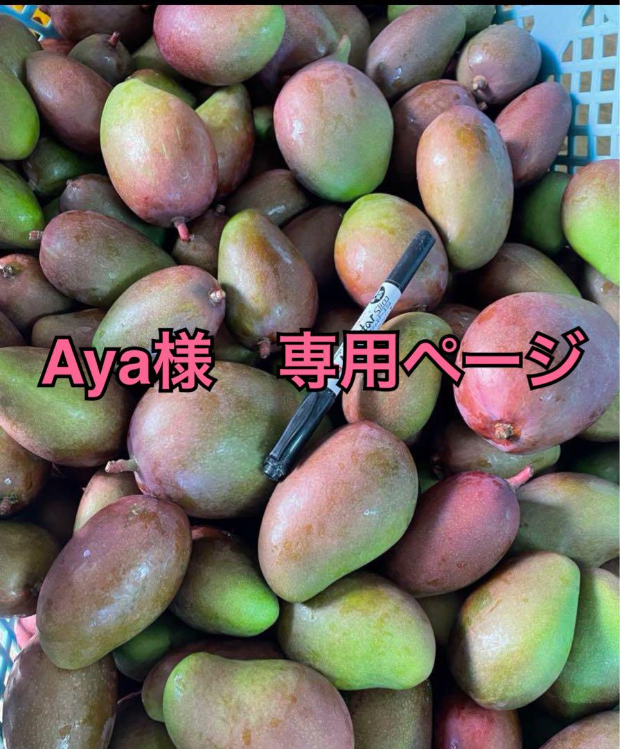 Aya様　専用ページ　15kg