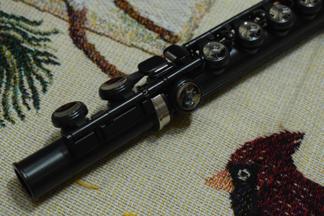 最安価に挑戦！ プラスチックフルート nuvo Student Flute 夏のバーゲン開催中！