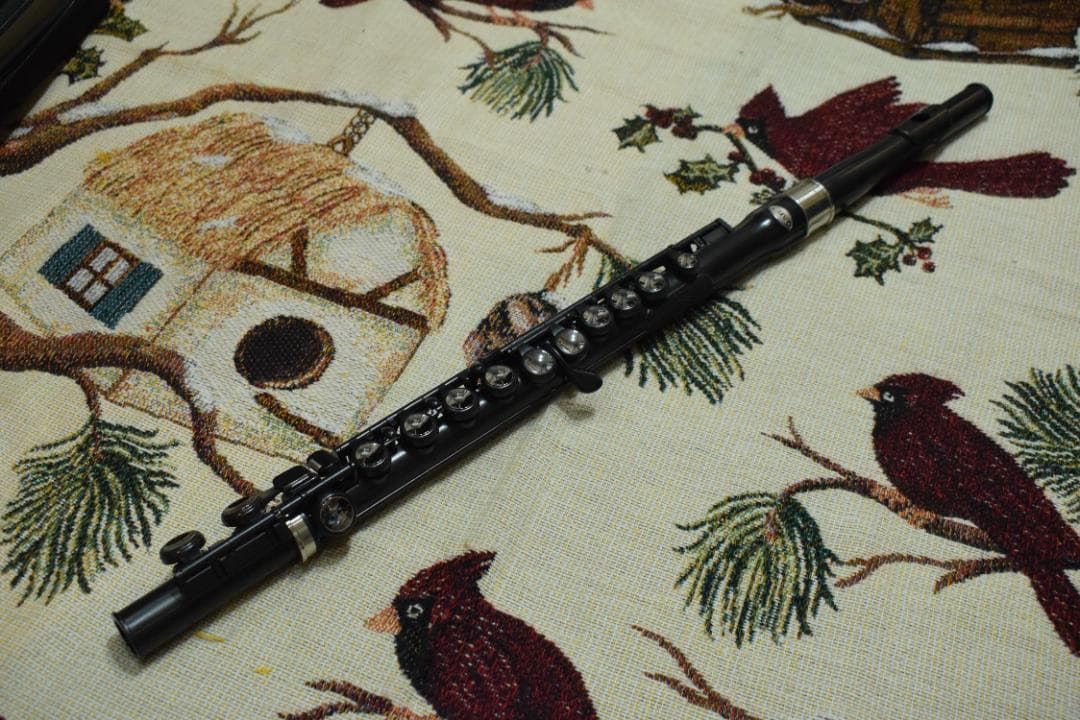 プラスチックフルート