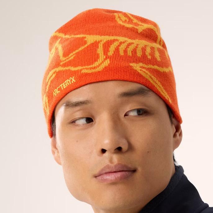 帽子 Arc' terx Bird Head Toque NEUTRAL [728]