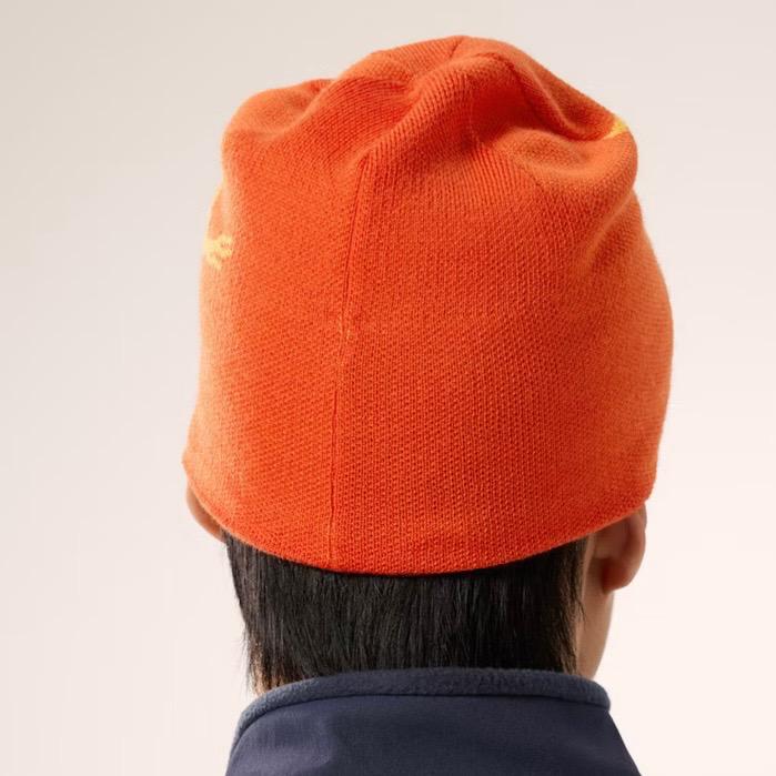 帽子 Arc' terx Bird Head Toque NEUTRAL [728]