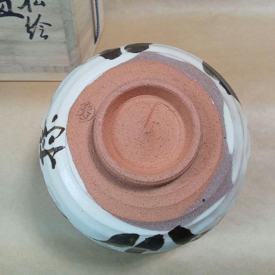 乾山写老松
