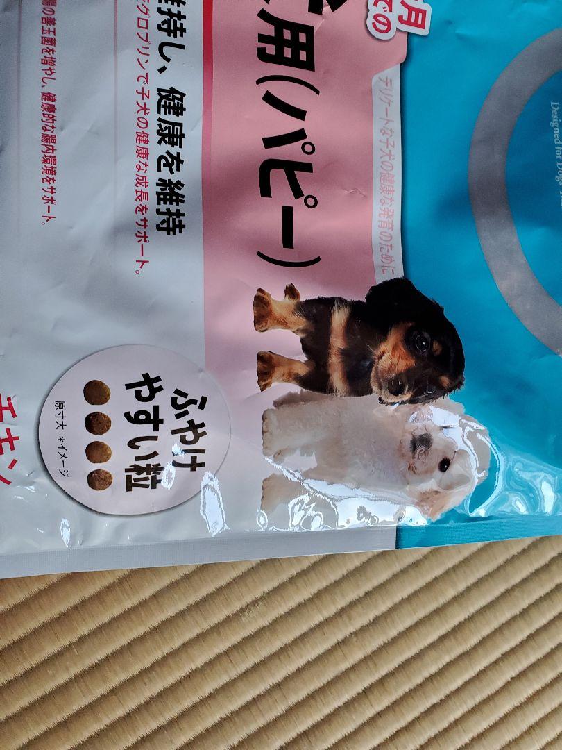 PROMANAGE 子犬用ドライフード 4kg Amazon.co.jp: プロマネージ ドッグフード 12ヶ月までの子犬用