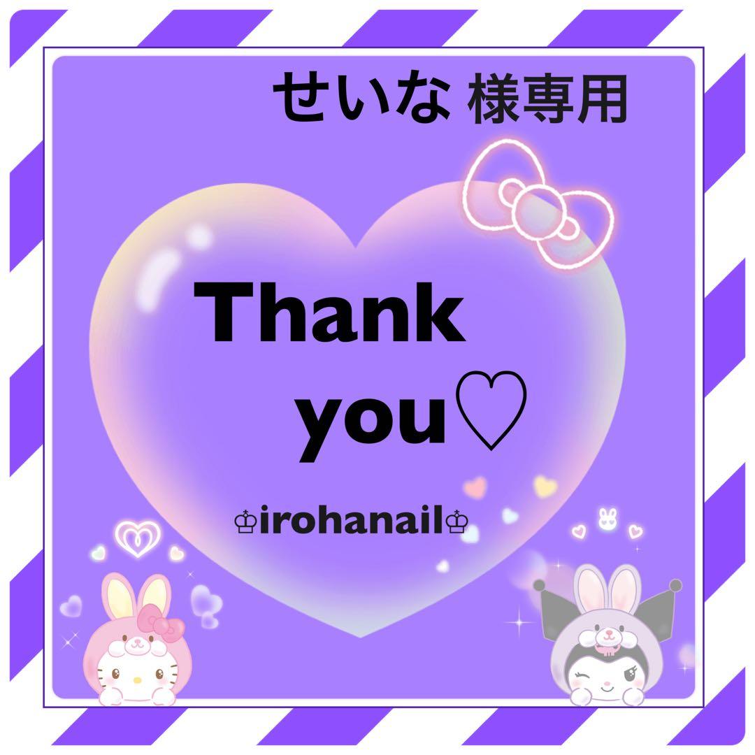 せいな@様専用ネイルチップ