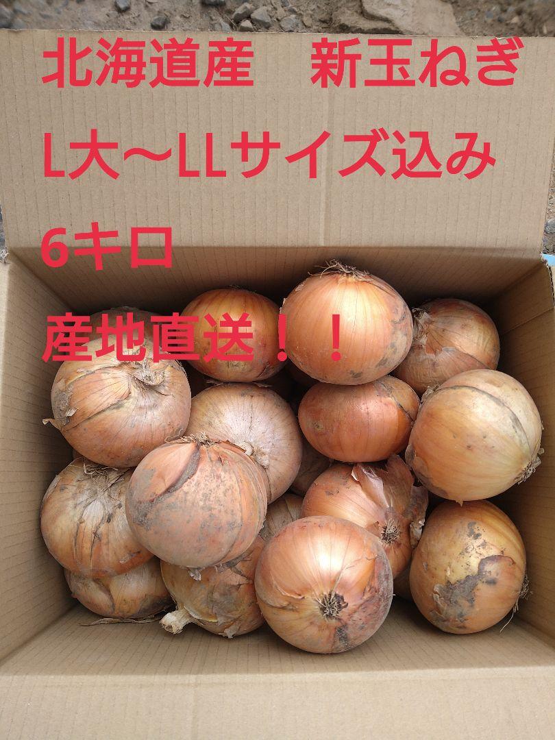 タマネギ 産地直送！！北海道産新玉ねぎ【SN3A】6キロ L大〜LLサイズ込み