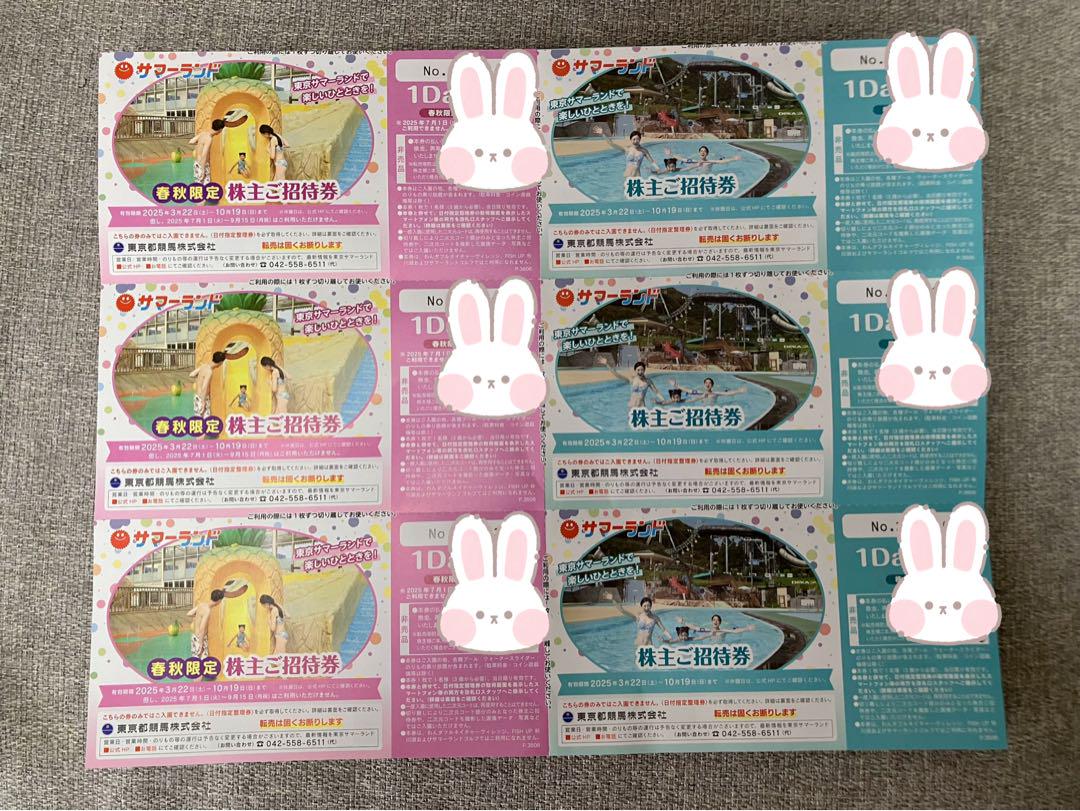 東京サマーランド 1日招待券 6枚セット