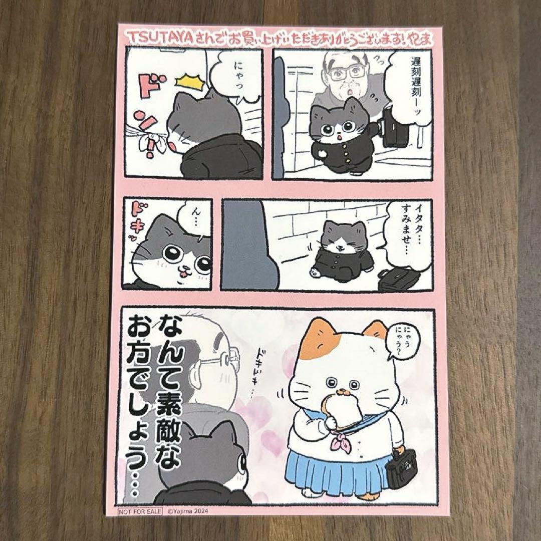 ねこに転生したおじさん 1 やじま 直筆イラスト入りサイン本 シュリンク未開封品 Amazon.co.jp: ねこに転生したおじさん 1 やじま 直筆イラスト