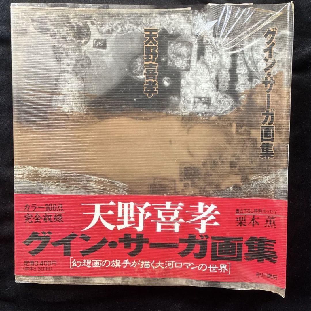 天野喜孝 グイン・サーガ画集 - メルカリ